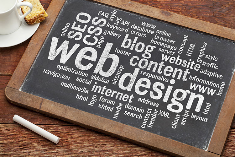 5-things-to-look-for-in-web-designer 5 things to look for in web designer