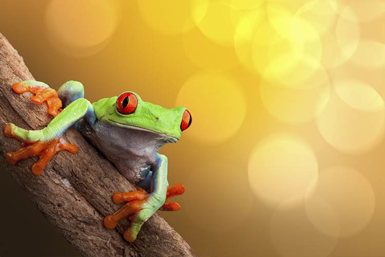 how-color-affects-your-perception how color affects your perception