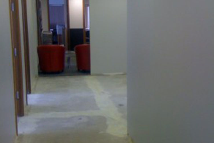 is that narnia back there