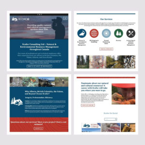 nine10 portfolio project ecofor gallery image 2