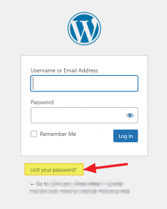 Step 1: Lost Password Link